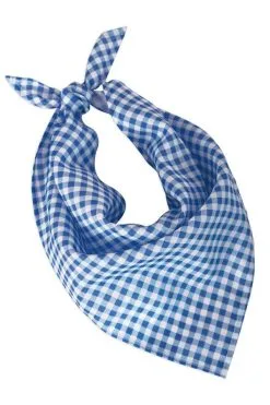 PartyXplosion Zakdoek Blauw / Wit Geblokt 62 X 44